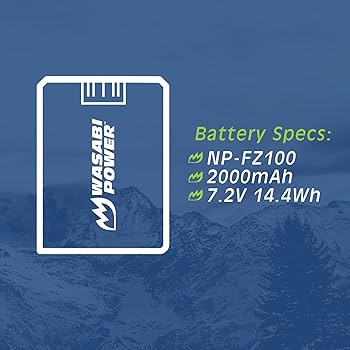 Amazon.com: Wasabi Power Battery for Sony NP-FZ100 and Sony